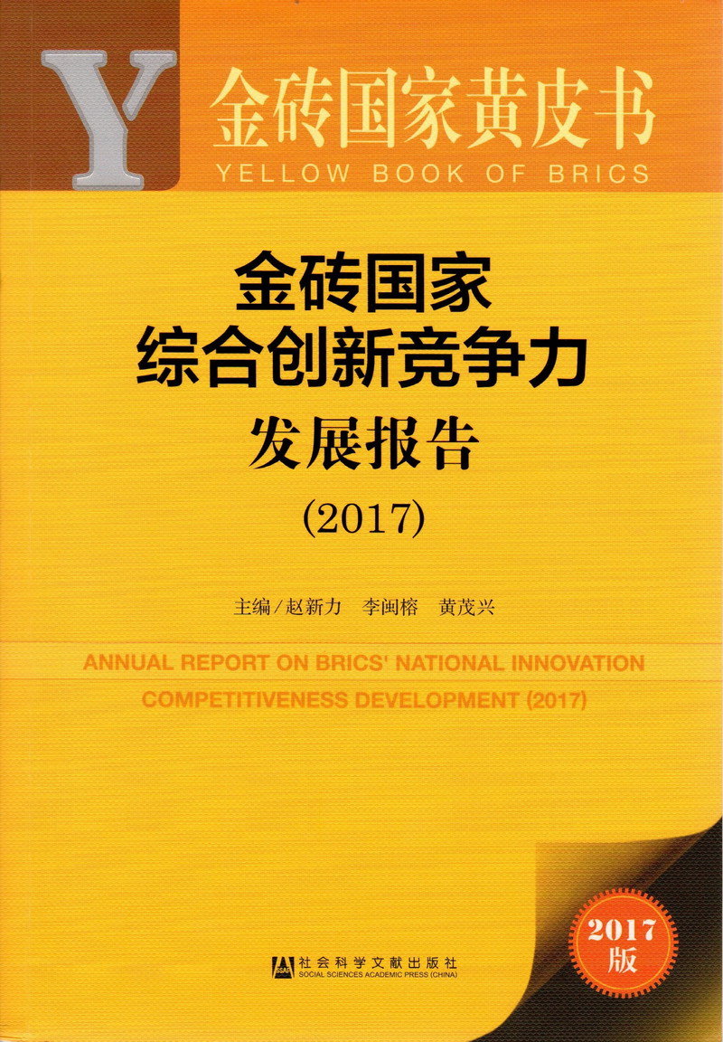 女生让男生C逼爽啊啊啊啊啊继续金砖国家综合创新竞争力发展报告（2017）